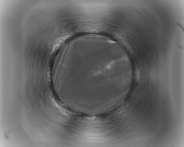 X0000102490688200808291650