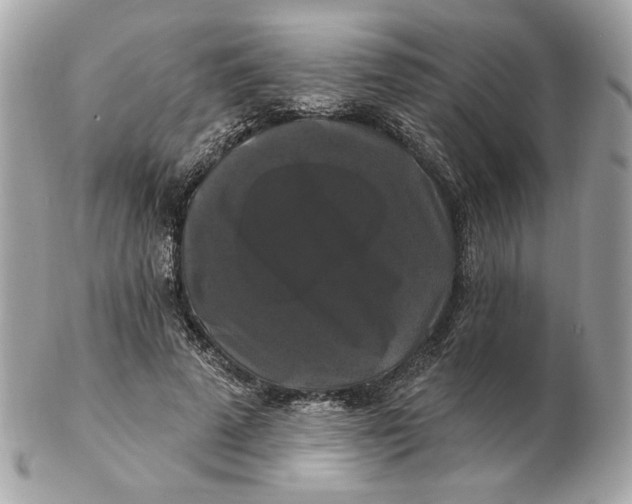 X0000102490689200808291650