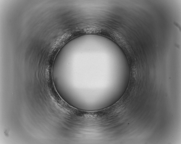 X0000102490690200808291650