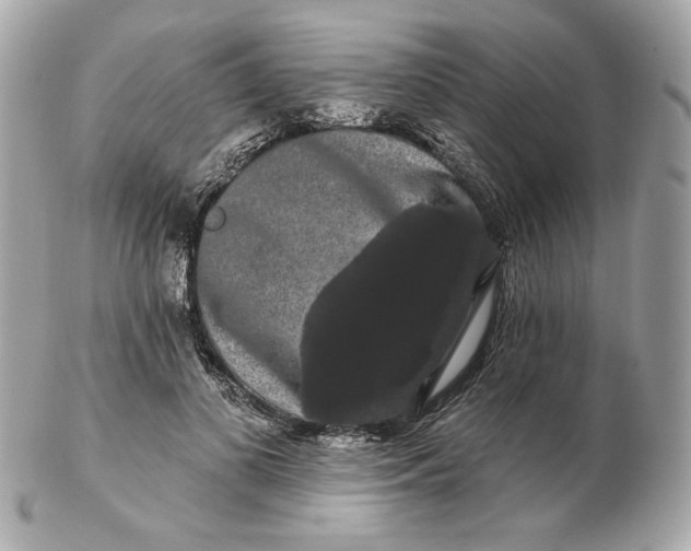 X0000102490693200808291649