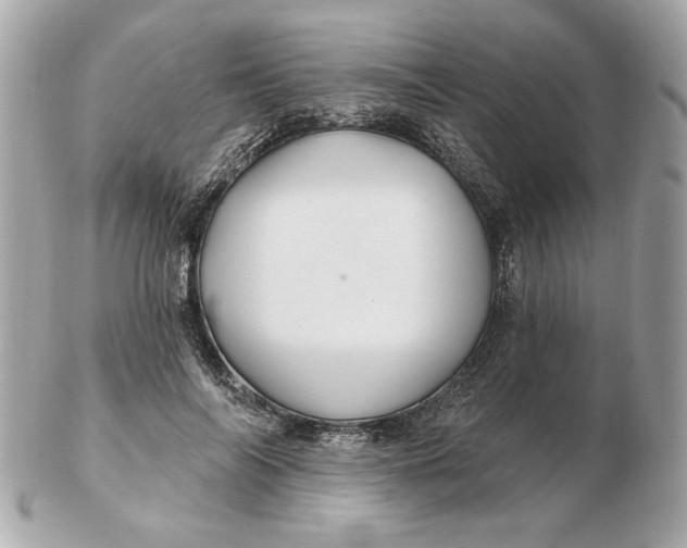 X0000102490694200808291649