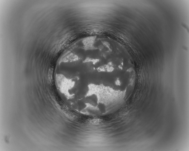 X0000102490695200808291649