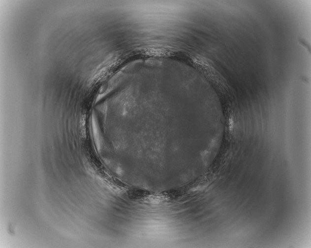 X0000102490696200808291649