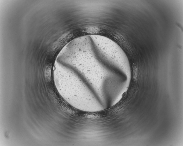 X0000102490697200808291649