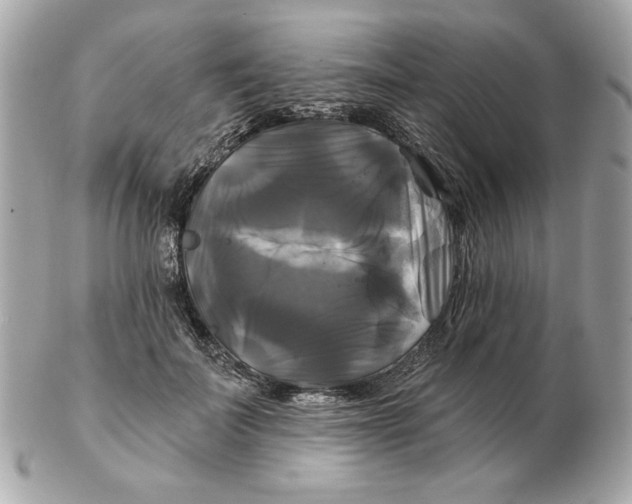 X0000102490699200808291649