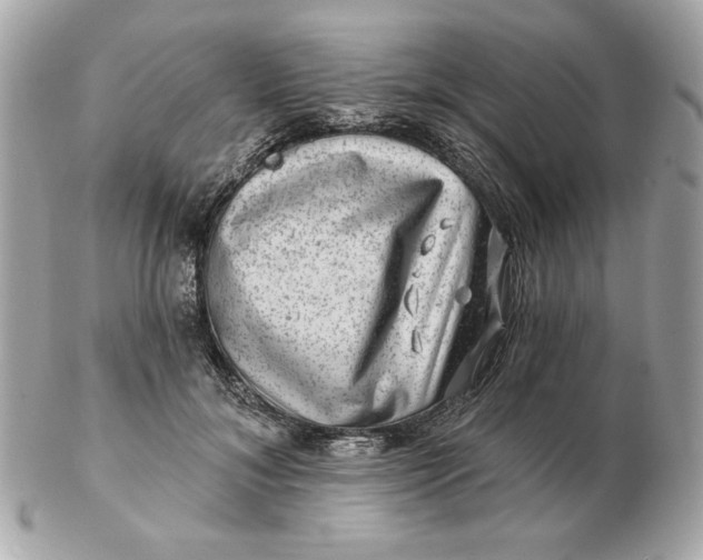 X0000102490700200808291649