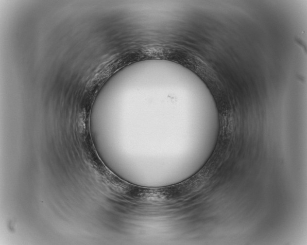 X0000102490702200808291649