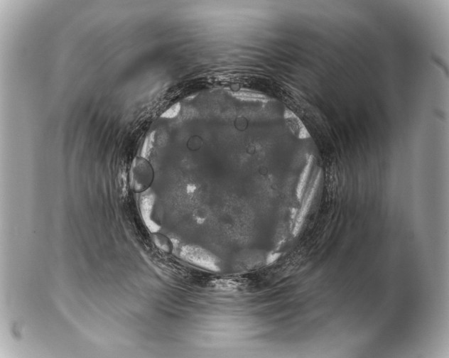 X0000102490703200808291649