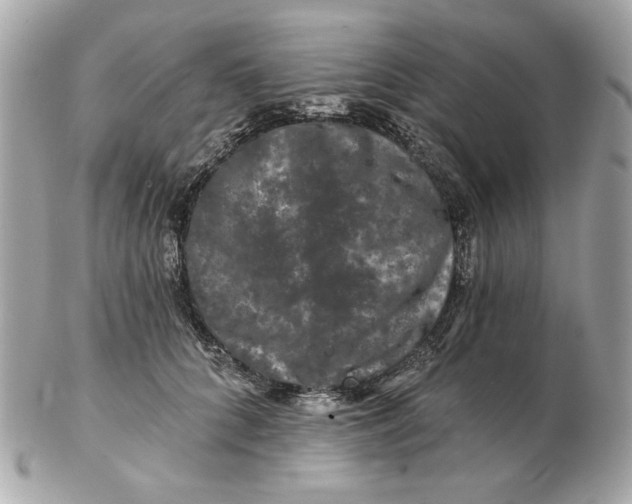 X0000102490704200808291649