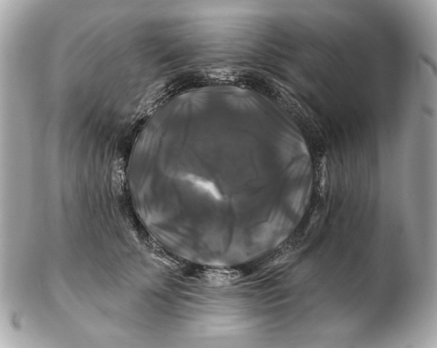 X0000102490707200808291649