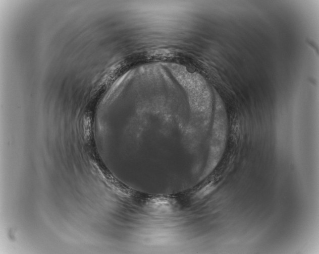 X0000102490708200808291649