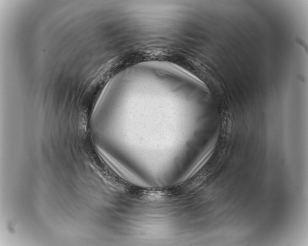 X0000102490710200808291649