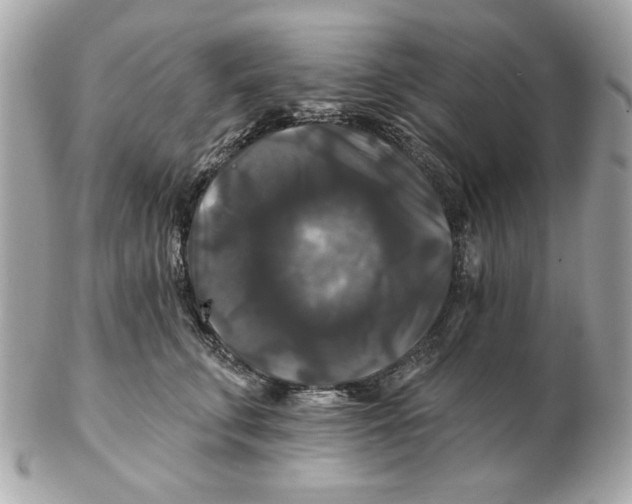 X0000102490711200808291649