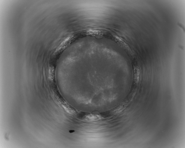 X0000102490712200808291649