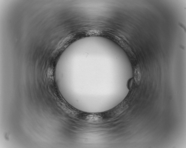 X0000102490714200808291649