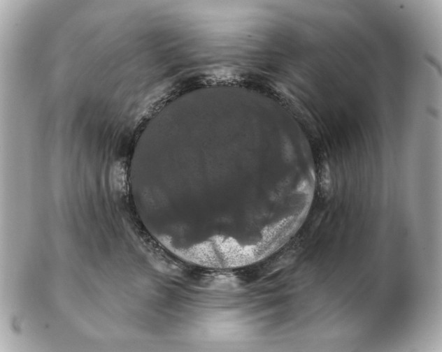 X0000102490715200808291649