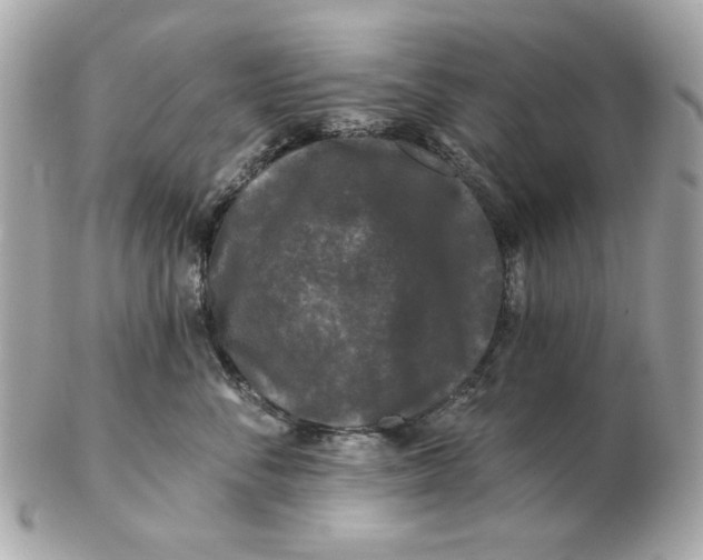 X0000102490716200808291649