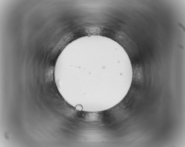 X0000102490717200808291649