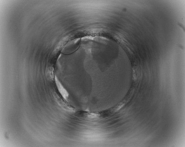 X0000102490718200808291649