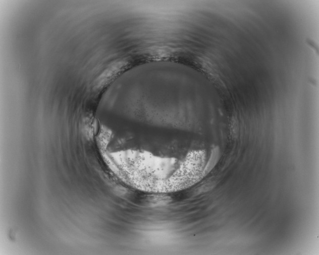 X0000102490719200808291649