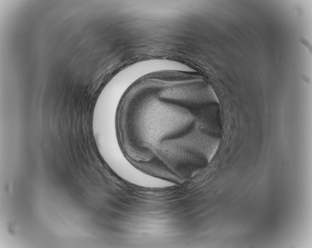 X0000102490720200808291649