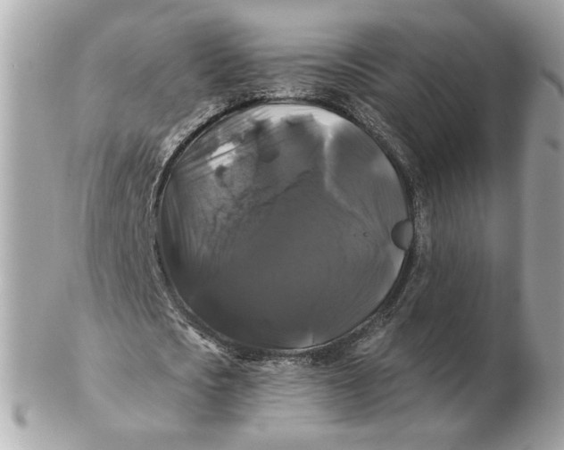 X0000102490721200808291648