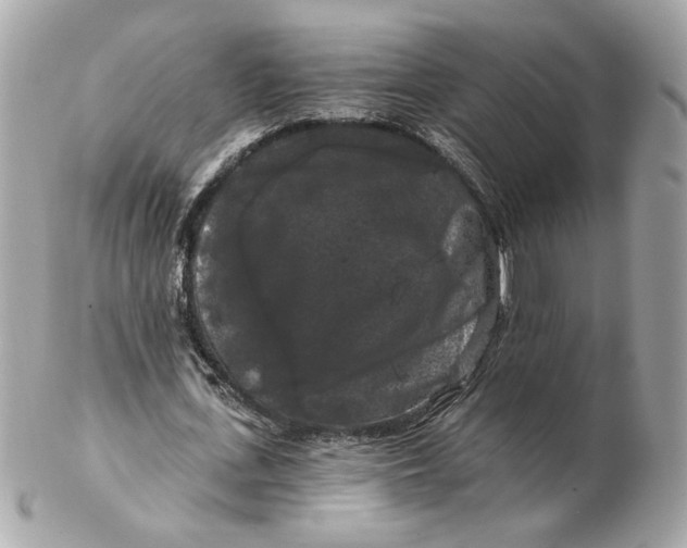 X0000102490723200808291648