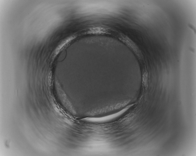 X0000102490724200808291648