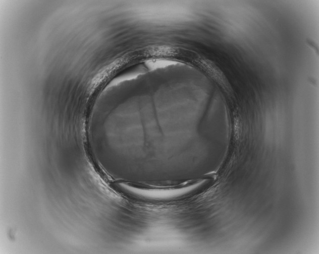 X0000102490725200808291648