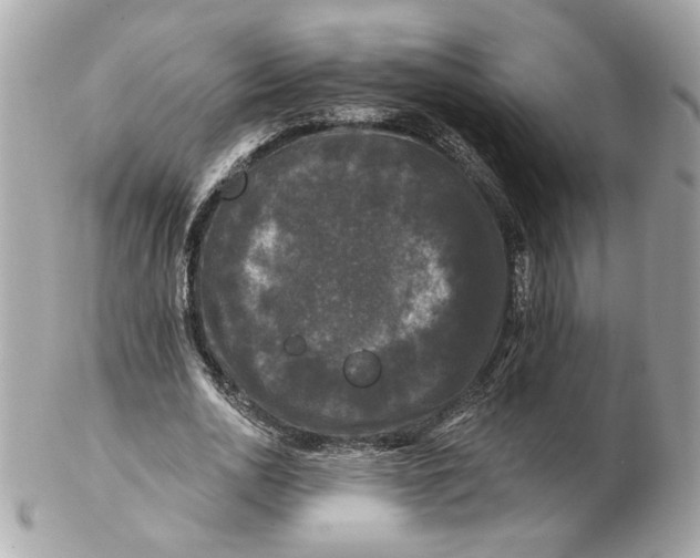 X0000102490726200808291648