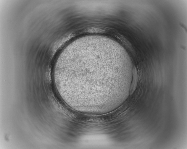 X0000102490727200808291648