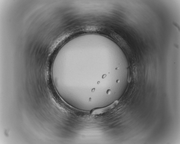 X0000102490728200808291648