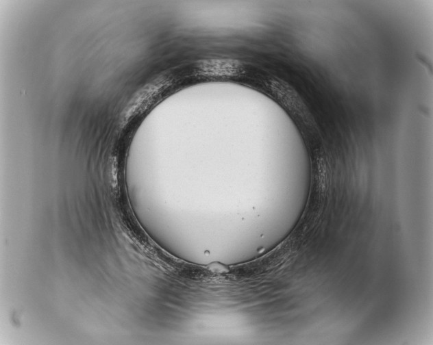 X0000102490731200808291648