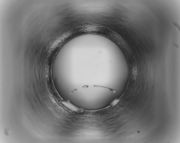 X0000102490732200808291648