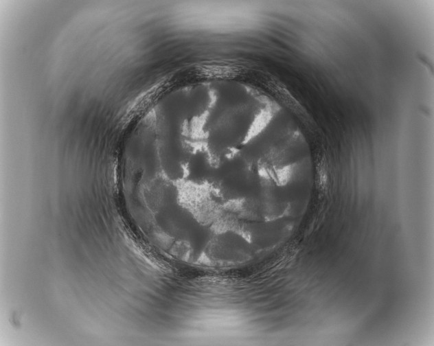 X0000102490733200808291648