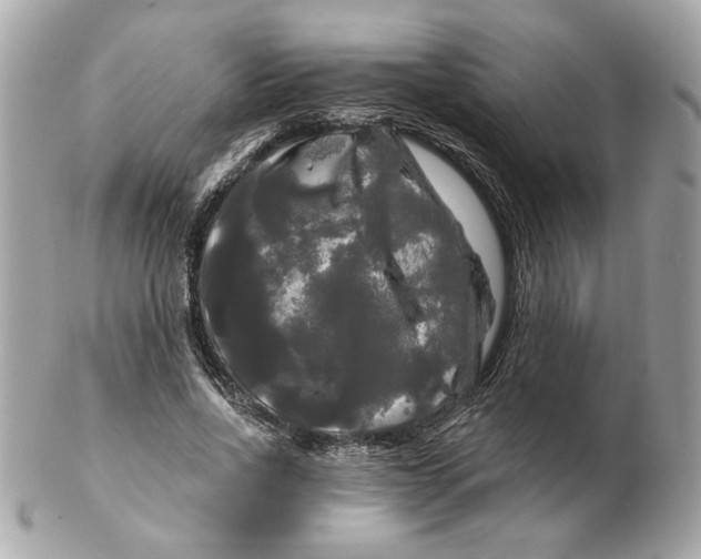 X0000102490734200808291648