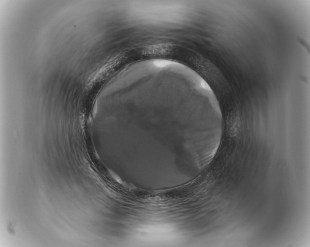 X0000102490735200808291648