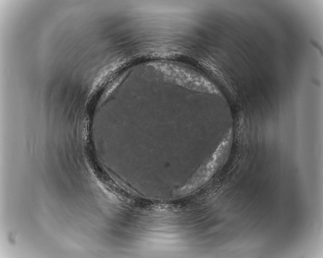 X0000102490736200808291648