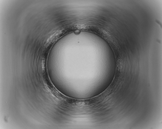 X0000102490740200808291649