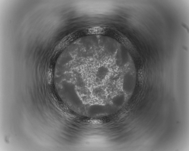 X0000102490741200808291649