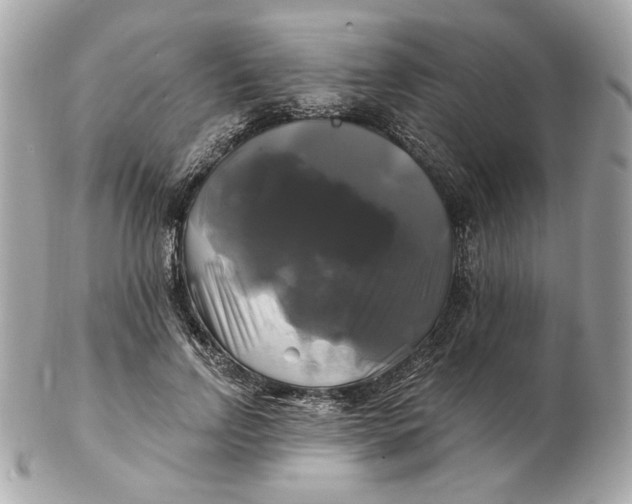 X0000102490742200808291649