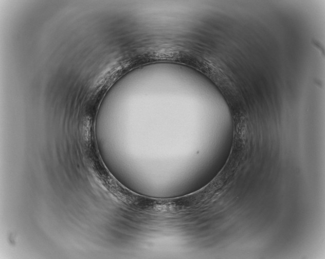 X0000102490744200808291649