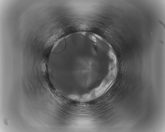 X0000102490746200808291649