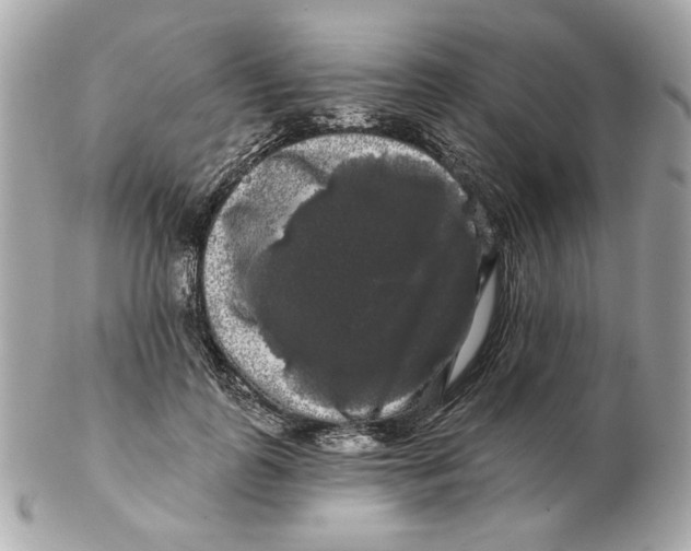 X0000102490747200808291649