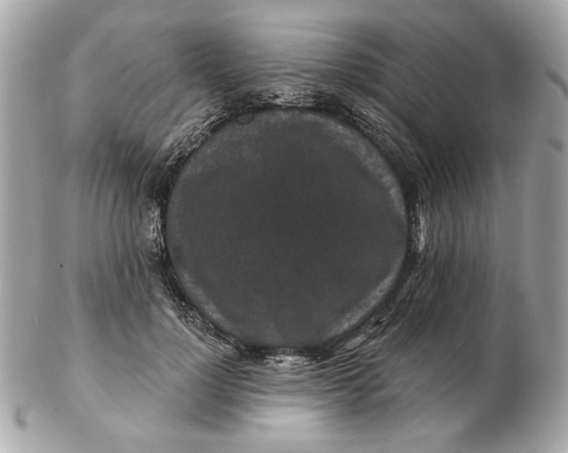 X0000102490748200808291649