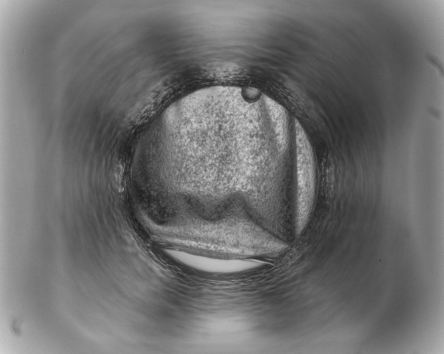 X0000102490750200808291649