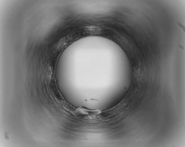 X0000102490752200808291649