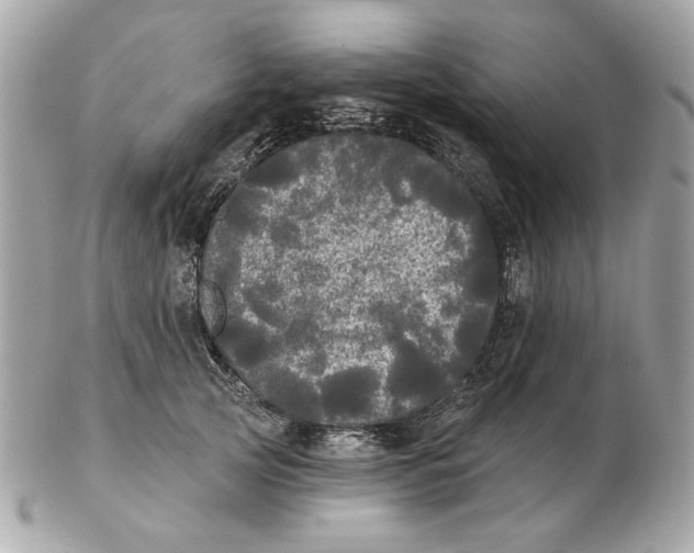 X0000102490753200808291649