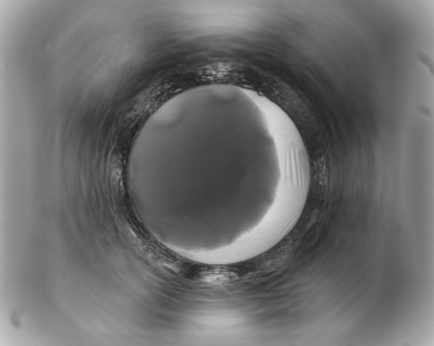 X0000102490754200808291649