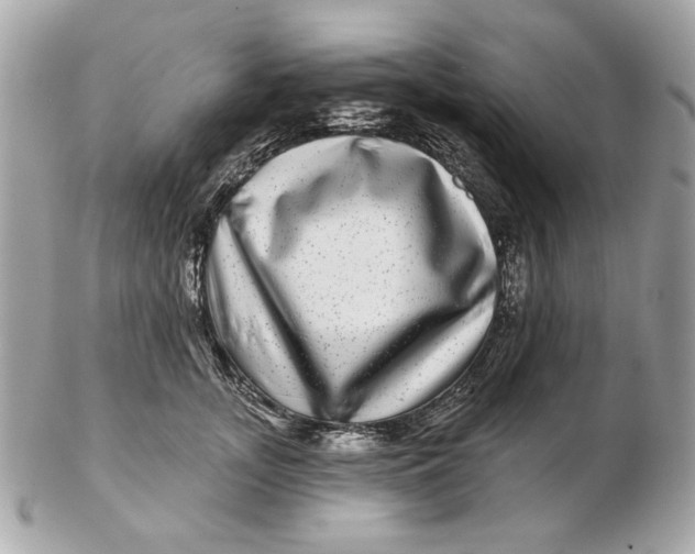 X0000102490755200808291649